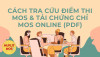 TẢI BẰNG PDF