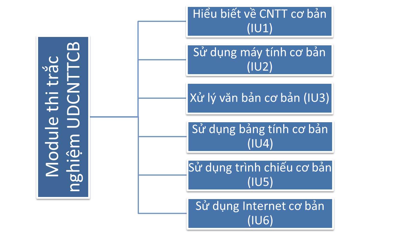 6 module